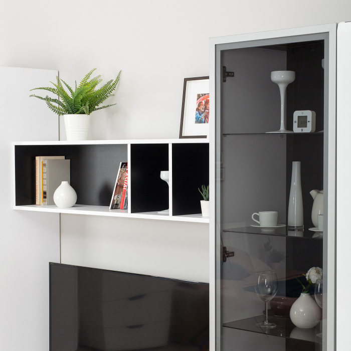 Шкафы распашные, Шкаф-витрина Сидней 13.201, белый премиум, черный, белый глянец