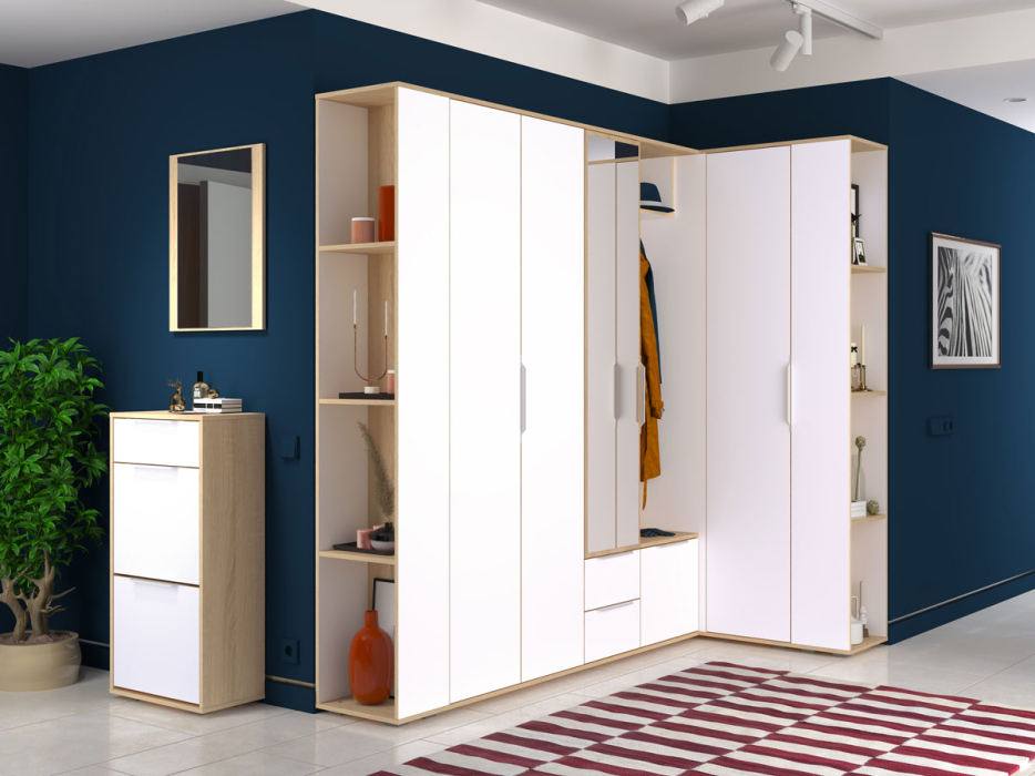 Шкафы распашные, Шкаф Куба 13.29