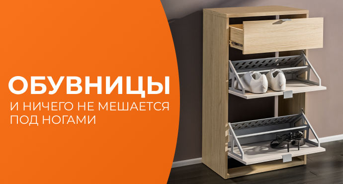 обувницы